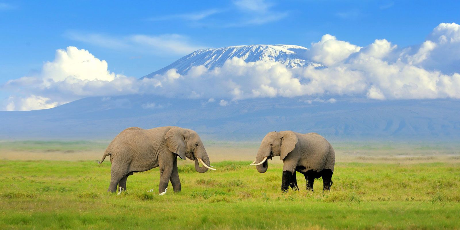 You are currently viewing  East Africa Gay Travel Safari: Top LGBTQ+ Friendly Destinations Africa Tours