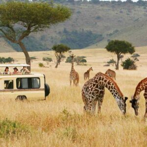 Read more about the article 14 Days explore Uganda, Kenya & Tanzania safari