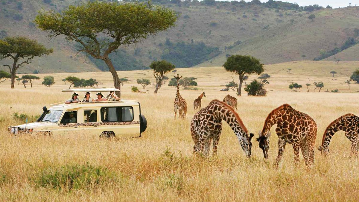 You are currently viewing 14 Days explore Uganda, Kenya & Tanzania safari