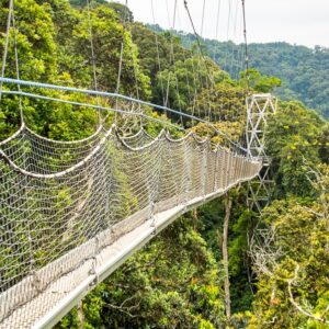 Read more about the article The Best Luxury Lodges in Rwanda Where to Stay for an Unforgettable Luxury Safari