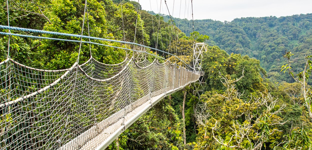 You are currently viewing The Best Luxury Lodges in Rwanda Where to Stay for an Unforgettable Luxury Safari