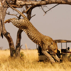 Read more about the article Female Solo Travel Rwanda