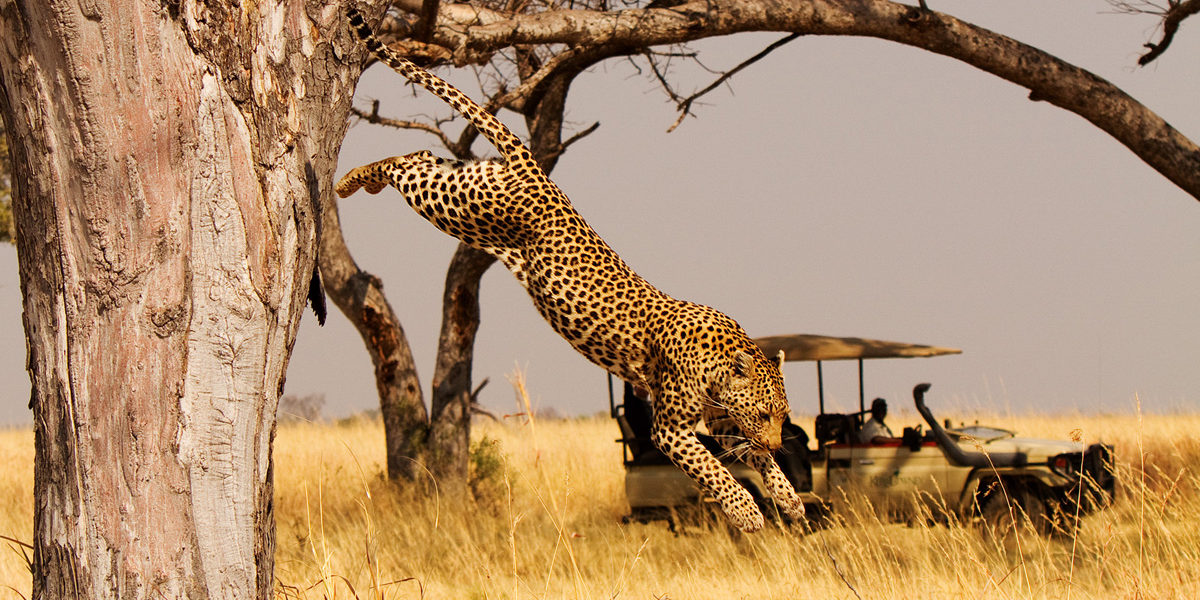 Read more about the article Female Solo Travel Rwanda