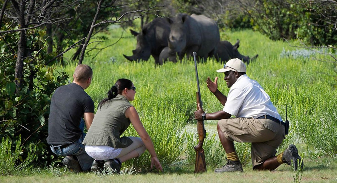 You are currently viewing 16 days Uganda Gorilla trekking, chimpanzee tracking, and wildlife safari.