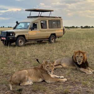 Read more about the article Uganda Travel Guide: Safari & Primate Trekking