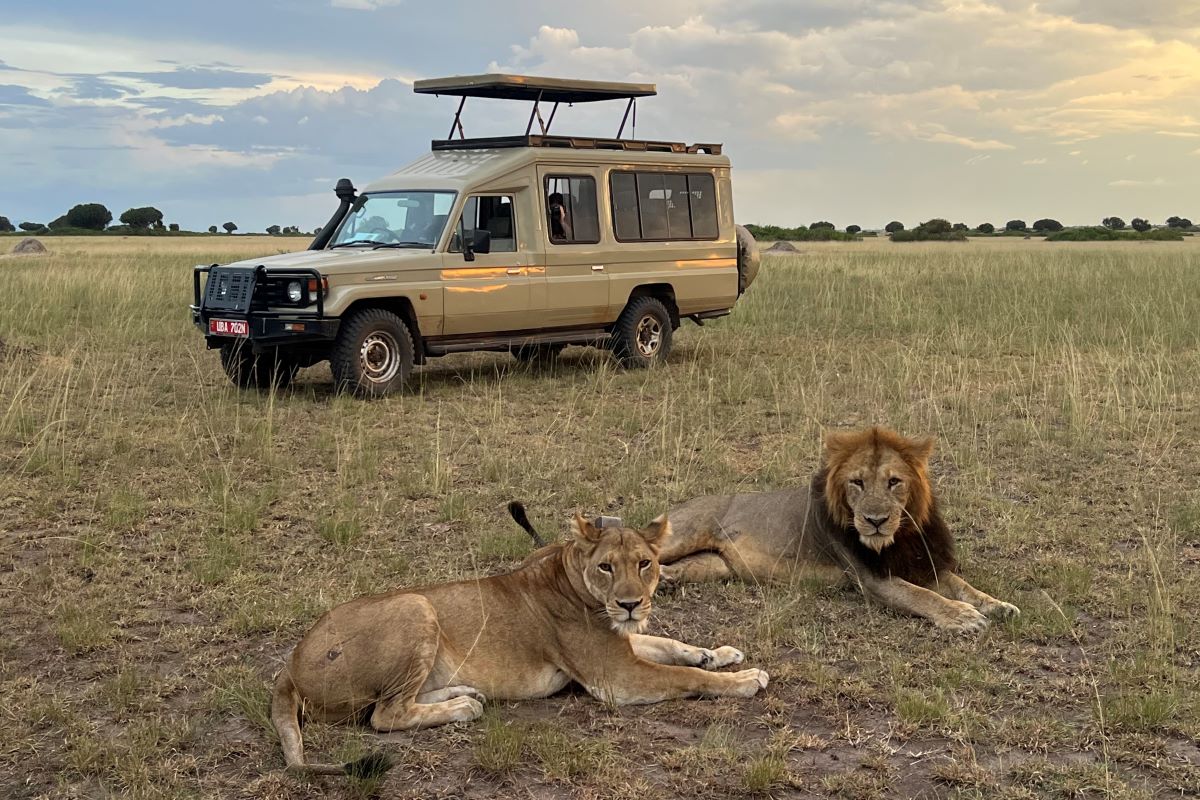 You are currently viewing Uganda Travel Guide: Safari & Primate Trekking