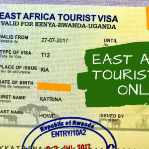 Read more about the article East Africa Tourist Visa: Application Guide