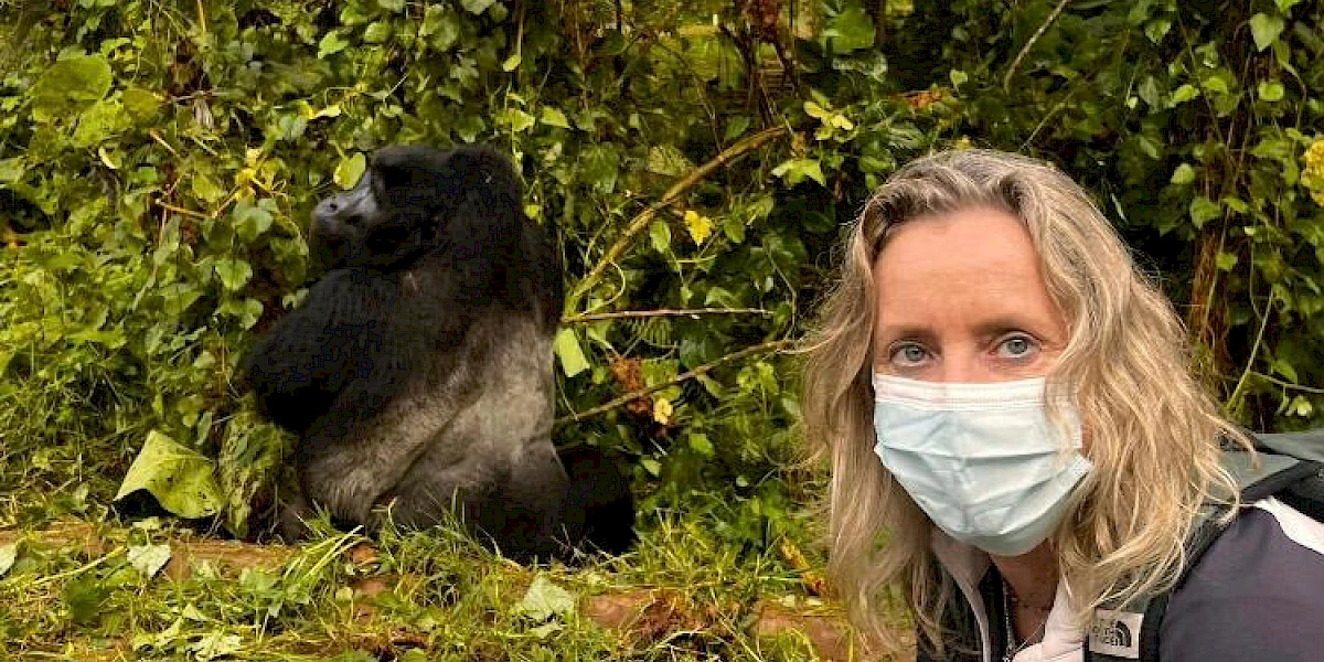 You are currently viewing How to plan a Rwanda gorilla safari from Europe
